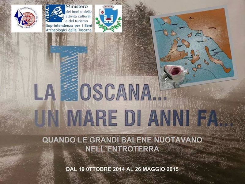 19 ottobre 2014 - 26 maggio 2015